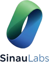sinaulabs.com